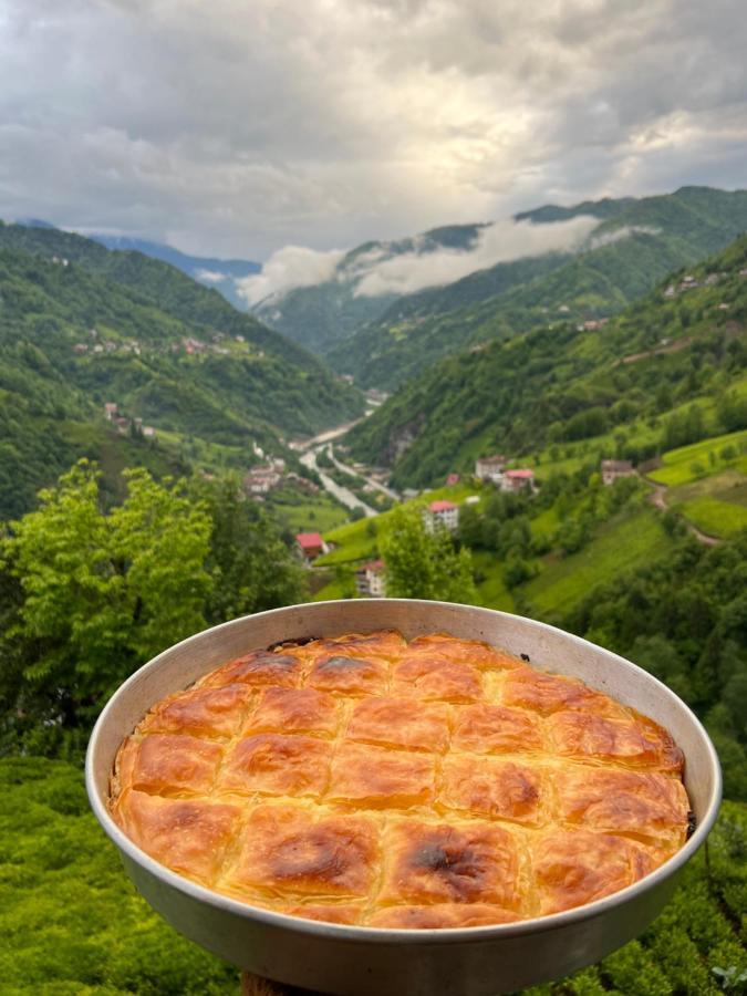 Zifona Bungalov Çamlıhemşin エクステリア 写真