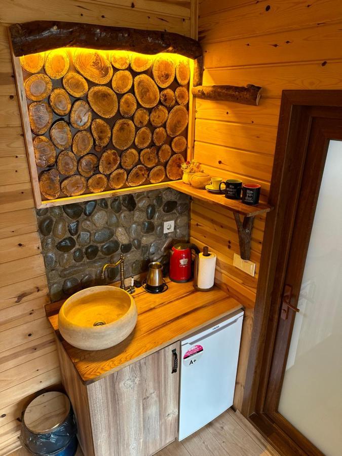 Zifona Bungalov Çamlıhemşin エクステリア 写真